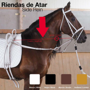 Riendas de atar con gomas cortas