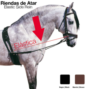 Riendas de atar elásticas