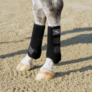 Protectores Eskadron Pro Dressage trasero