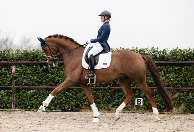 Levita doma Anky señora - Imagen 12