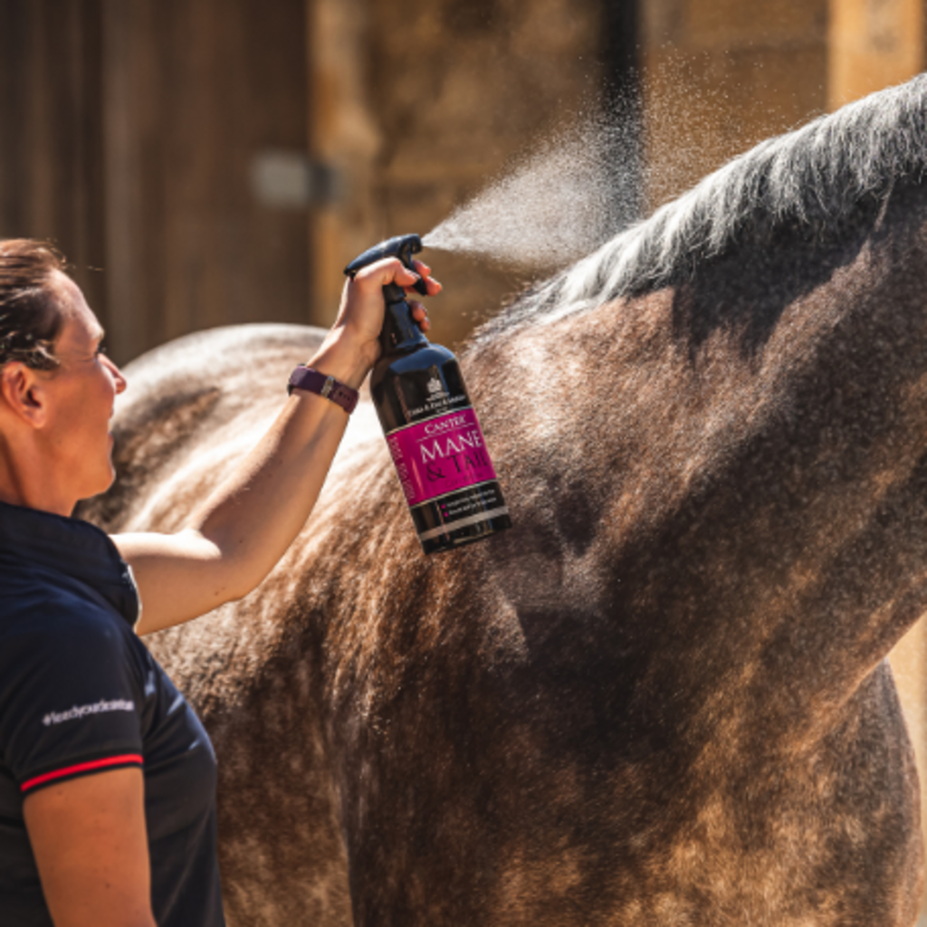 Acondicionador cola/crin Canter Main&Tail C&D 1 L - Imagen 2