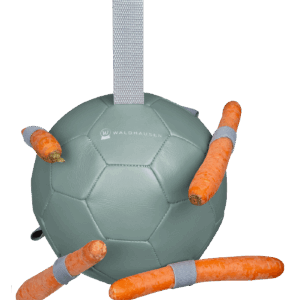 Pelota zanahorias
