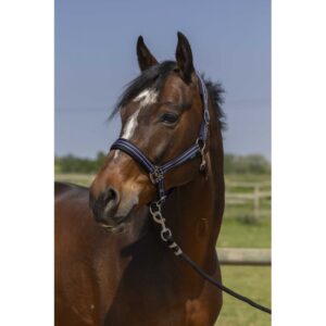 Cabezada cuadra nylon forro goma Norton