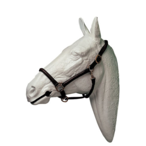 Cabezada cuadra cuero