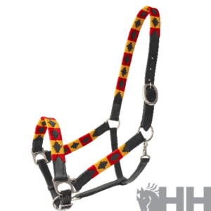 Cabezada cuadra cuero con bordados argentinos