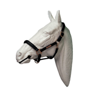 Cabezada cuadra cuero Lexhis