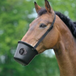 Bozal plástico con testera Waldhausen