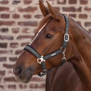 Cabezada cuadra Waldhausen Breath