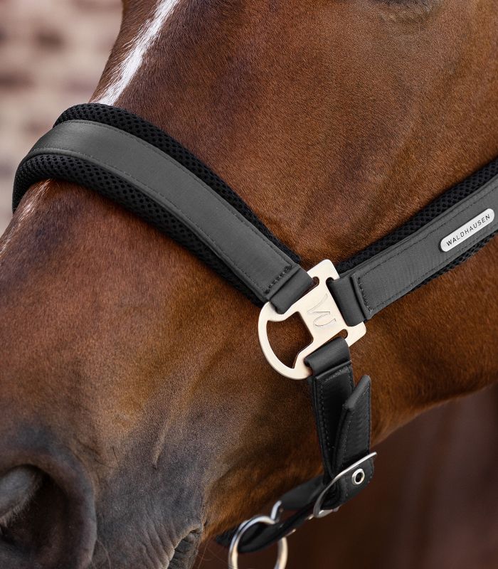 Cabezada cuadra Waldhausen Breath - Imagen 10