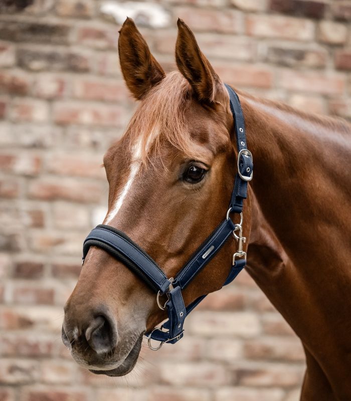 Cabezada cuadra Waldhausen Breath - Imagen 2