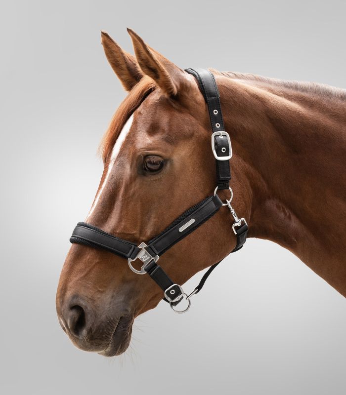 Cabezada cuadra Waldhausen Breath - Imagen 3