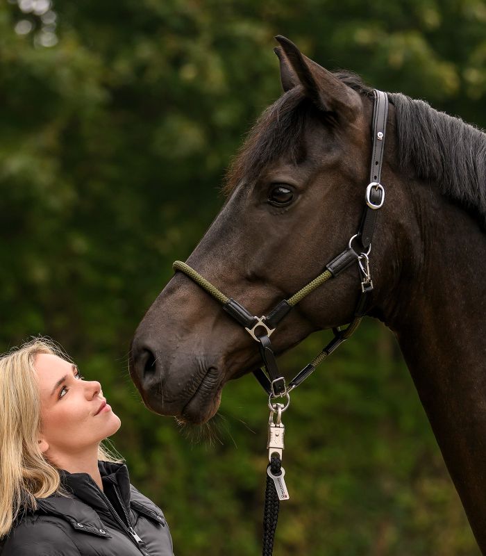 Cabezada cuadra cuero Waldhausen X-line Nevada - Imagen 4