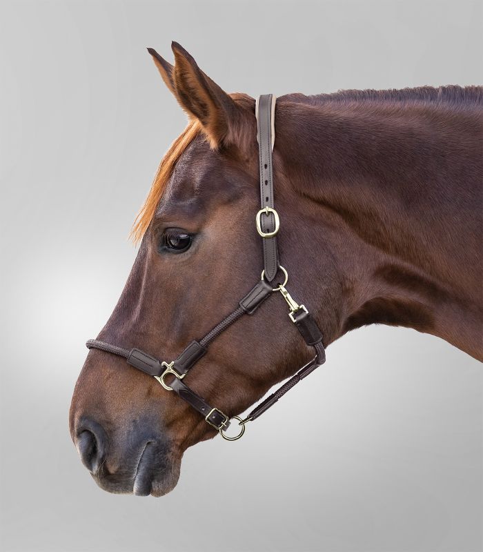 Cabezada cuadra cuero Waldhausen X-line Nevada - Imagen 7