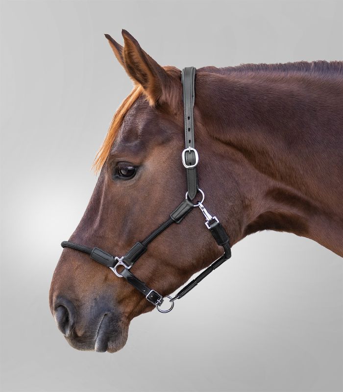 Cabezada cuadra cuero Waldhausen X-line Nevada - Imagen 2