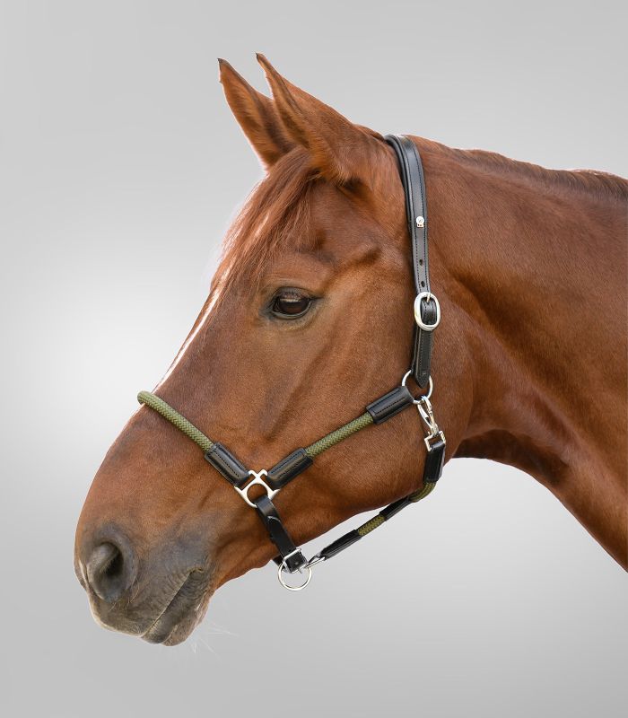 Cabezada cuadra cuero Waldhausen X-line Nevada - Imagen 3