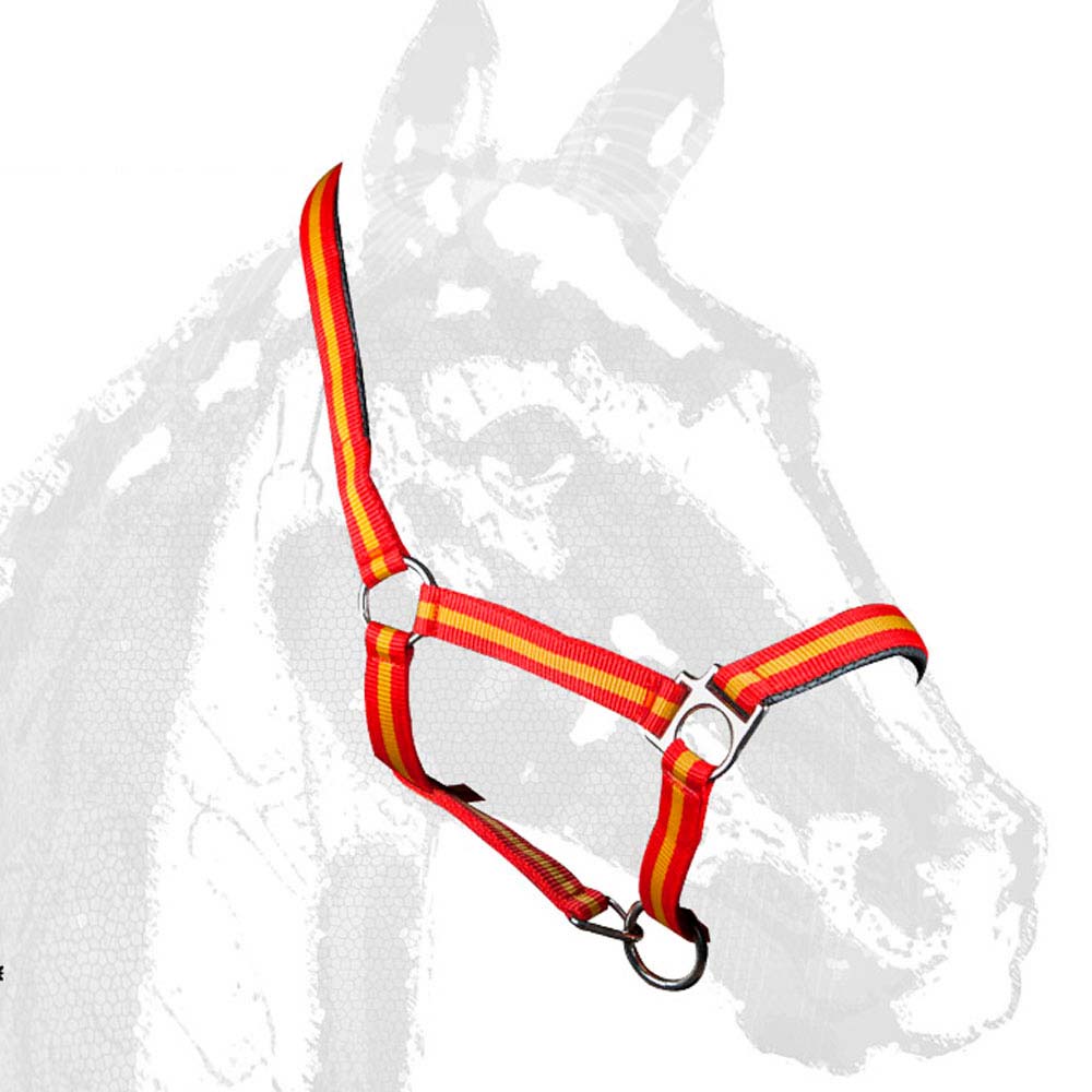 Cabezada cuadra nylon - Imagen 3