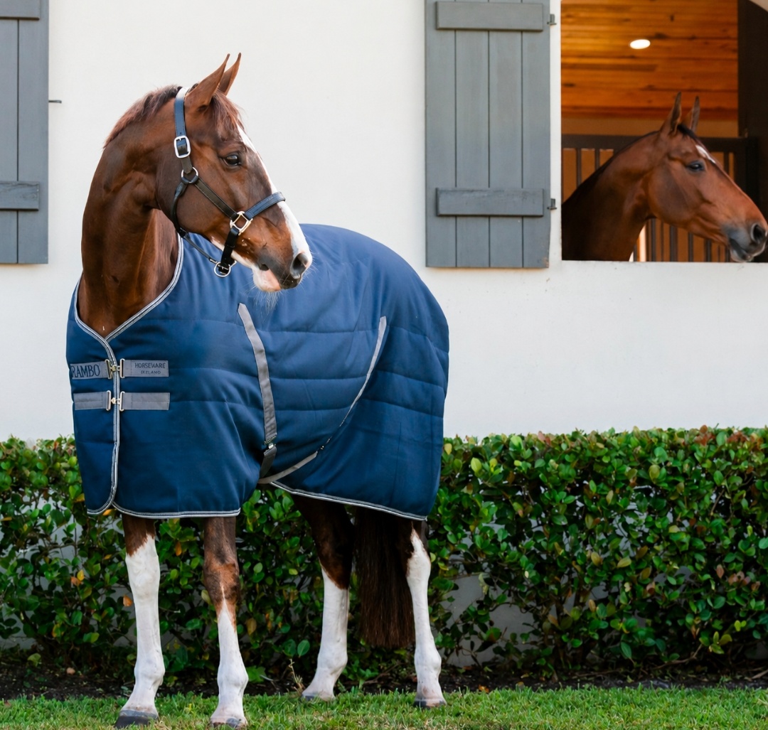 Manta cuadra Horseware Rambo heavy 400 g