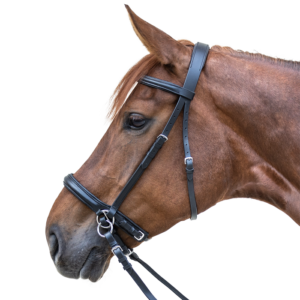 Cabezada montar Waldhausen Star Bitless